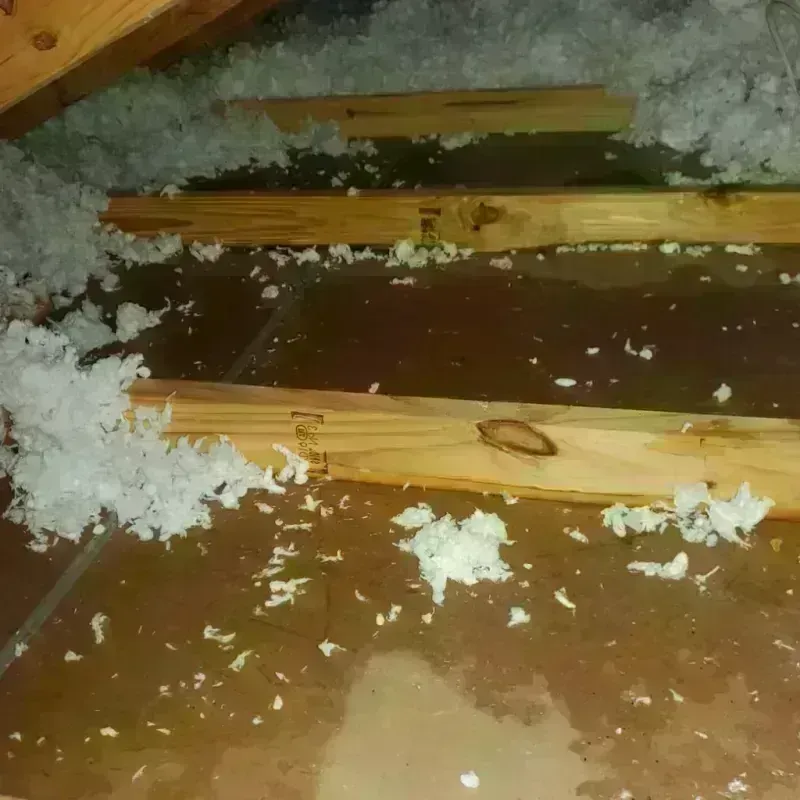 Attic Water Damage in March Air Force Base, CA